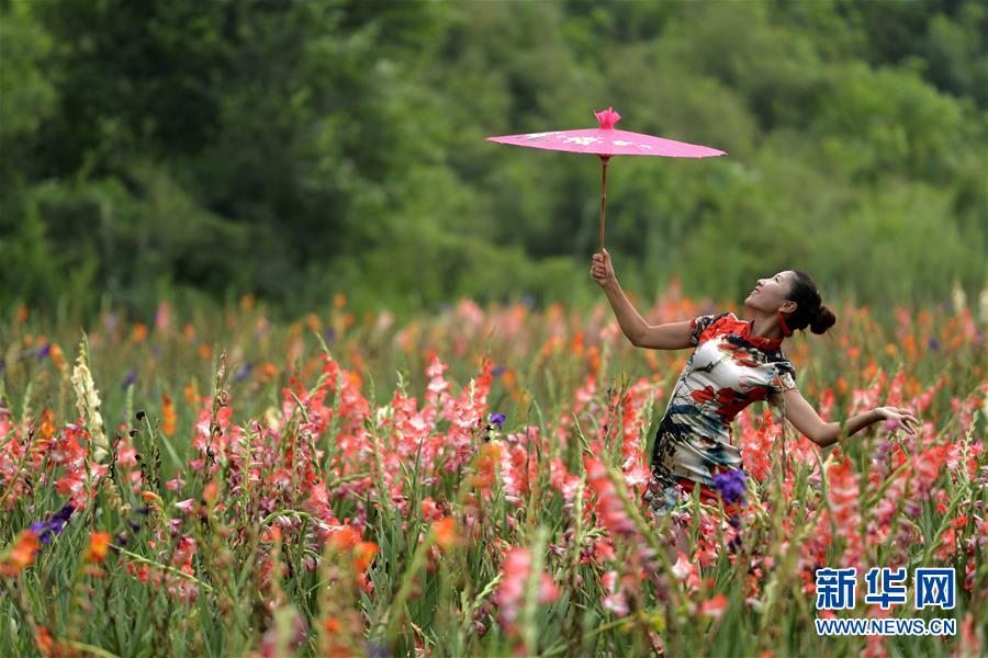 花海旗袍秀風韻