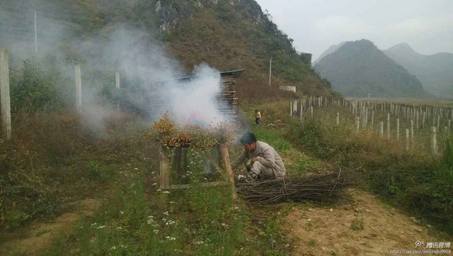 雲南6歲女童沒錢做手術 父親自學《本草綱目》火熏治療(圖)