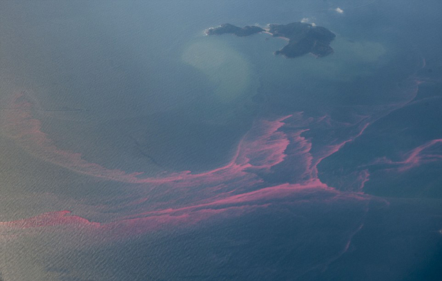 海南瓊州海峽現大面積紅色帶狀物(圖)