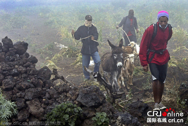 佛得角福古火山沉寂近20年後首次噴發