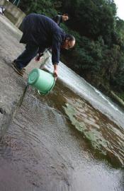 峨眉山現世界級珍惜動物 餐館當成蛙魚賣給食客