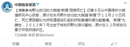 雌性大熊貓“新媛”因病死亡 原計劃本月野化放歸