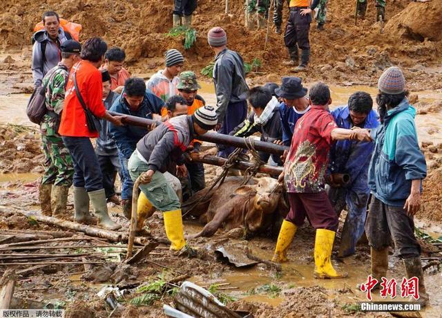 印尼泥石流致12人喪生 近百人失蹤