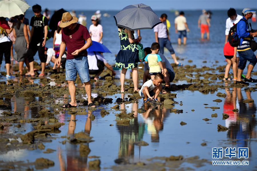 海南：拾貝抓蟹體驗趕海