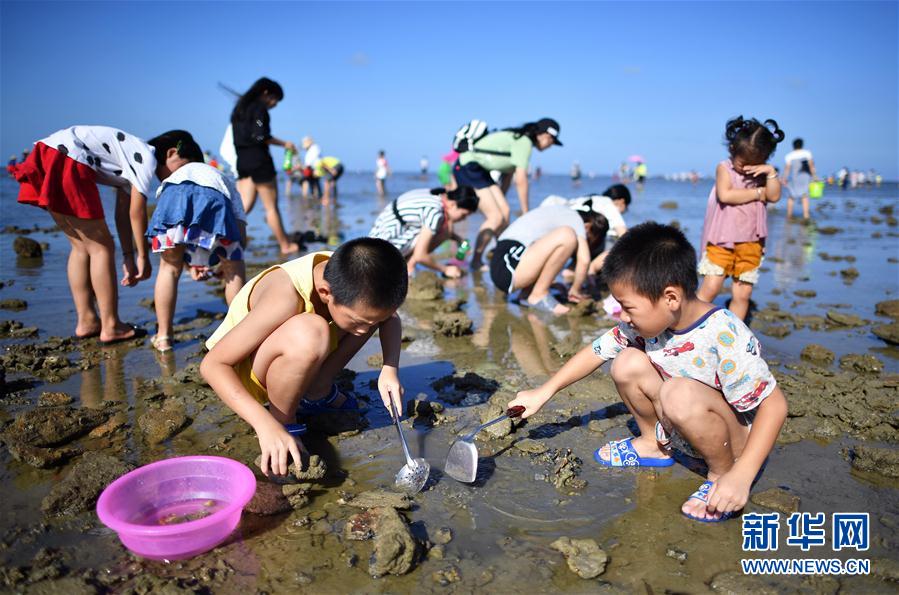 海南：拾貝抓蟹體驗趕海