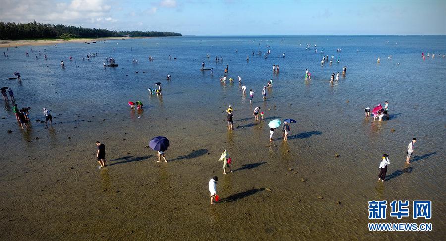 海南：拾貝抓蟹體驗趕海