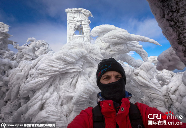 攝影師捕捉暴風雪過後樹木結冰景象 造型各異鬼斧神工