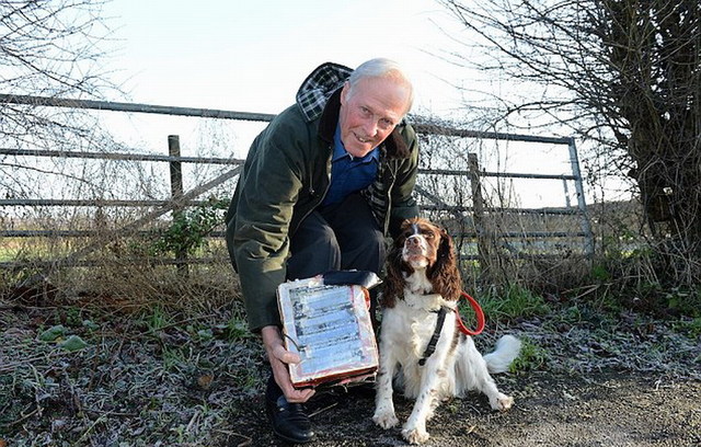 英國寵物犬撿到1.14克拉鑽石 主人喜獲意外之財