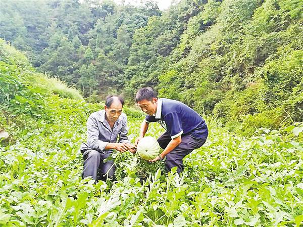 【砥礪奮進的5年】全鎮最窮老土村為何變“洋”了？