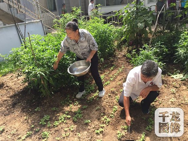 【砥礪奮進的五年】尖岩村：落後窮山村是怎樣變成美麗樣板村的?