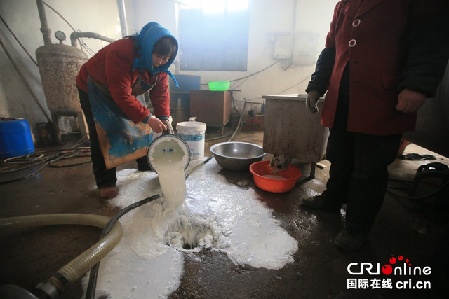 京冀地區牛奶滯銷 北京奶農日倒上千斤牛奶