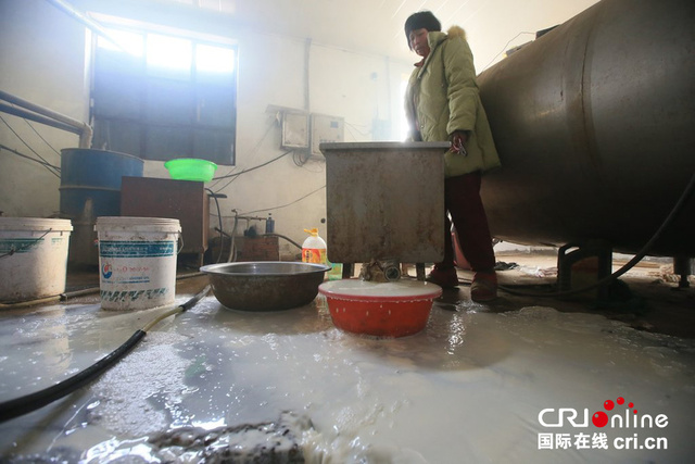 京冀地區牛奶滯銷 北京奶農日倒上千斤牛奶