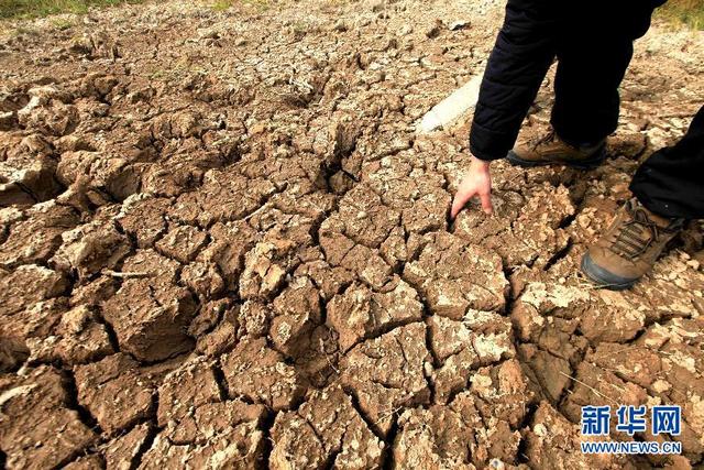 我國最大淡水湖鄱陽湖已逼近極枯水期