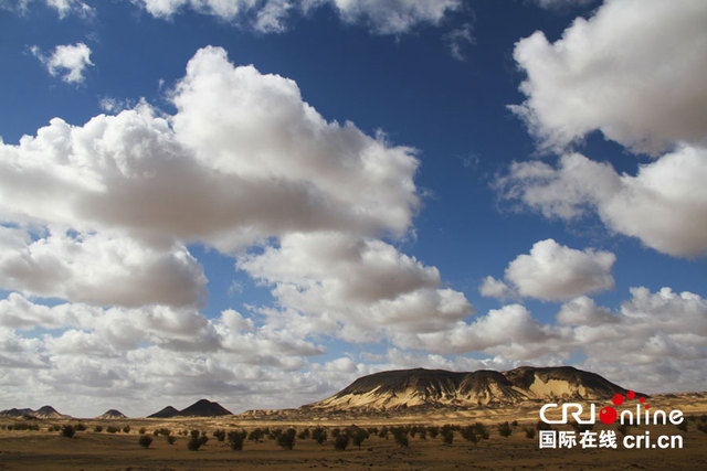 橫穿埃及黑白沙漠 探秘"地外星球"風光