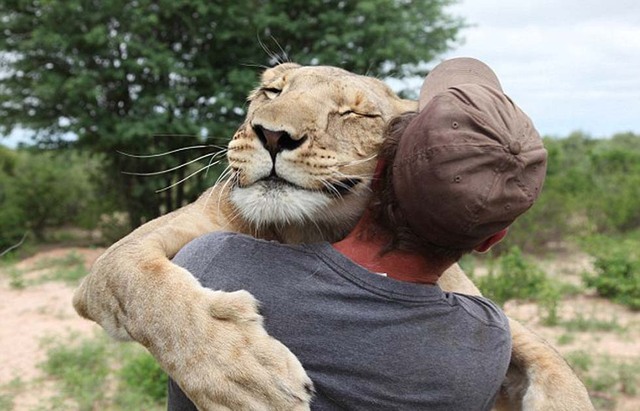 人獅情未了 德國男子收養猛獅教其捕獵