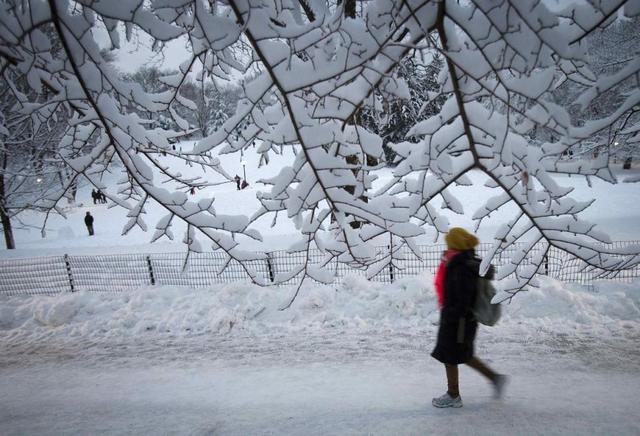 暴風雪襲擊美國東部 紐約市進入緊急狀態