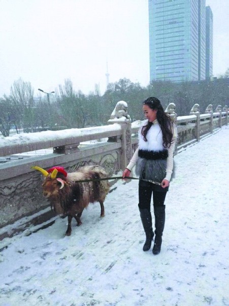 美女街頭雪中遛羊 網友讚姑娘這麼任性