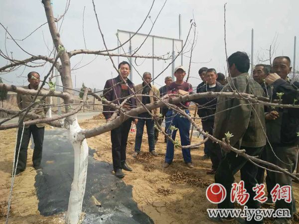 【地市  顯示圖在稿件最下方】延川縣延水關鎮著力打造“智慧黨建”特色品牌