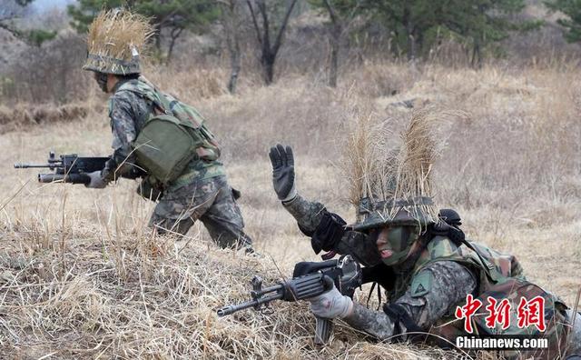 各國士兵讓人捧腹的奇葩偽裝術