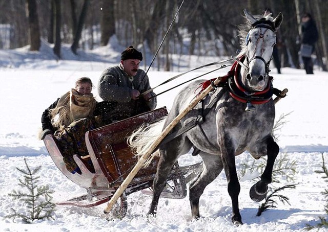 波蘭人玩馬拉雪橇享受冬日歡樂