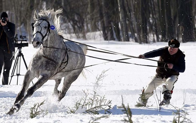 波蘭人玩馬拉雪橇享受冬日歡樂