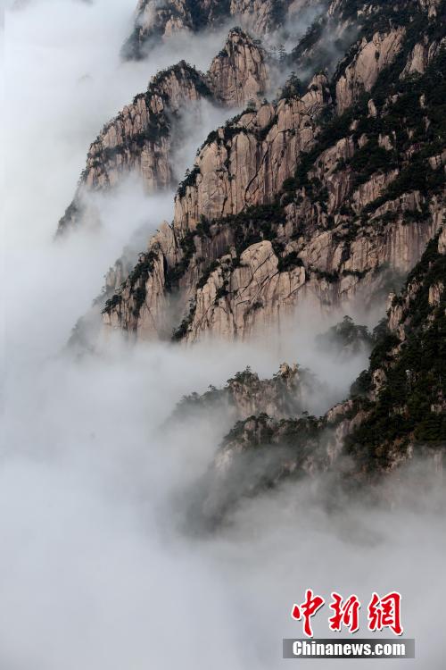 安徽黃山現羊年首場壯觀雲海