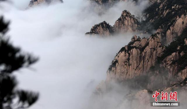 安徽黃山現羊年首場壯觀雲海