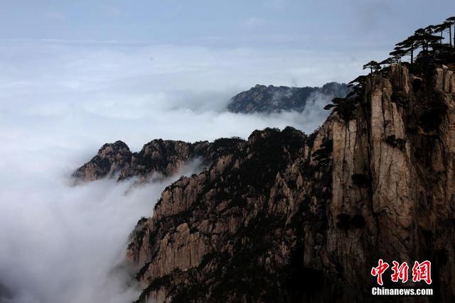 安徽黃山現羊年首場壯觀雲海