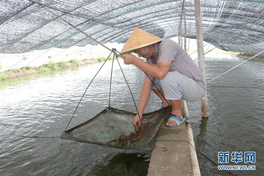 江蘇南通：科技興海 打造富民聚寶盆