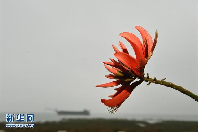 泉州——海上絲綢之路起點新貌