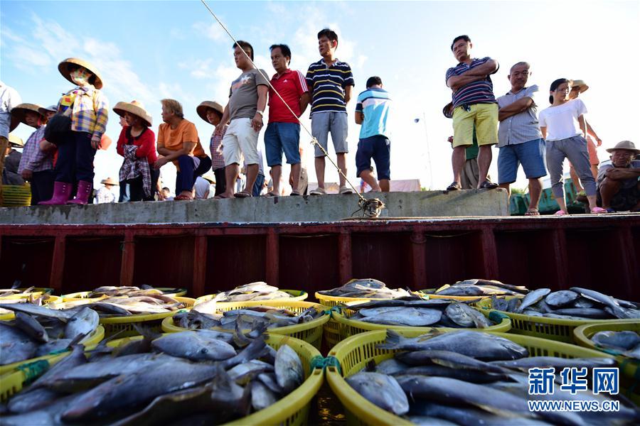 瓊海：捕魚歸來