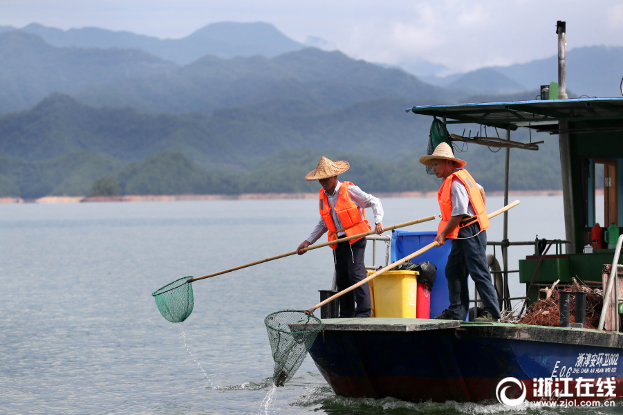 千島湖環衛工 守護一湖秀水