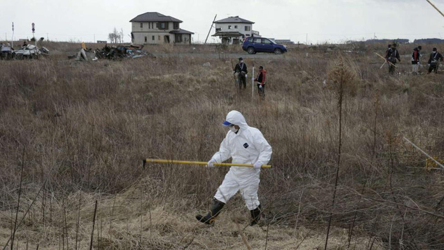 海嘯四週年：日本志願者仍在尋找遇難者遺體