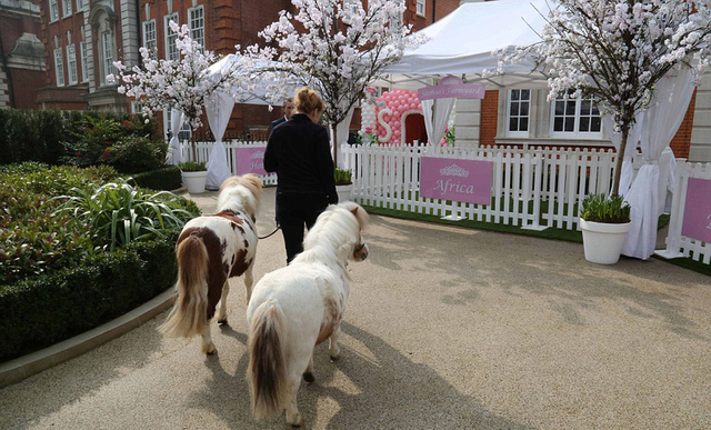 英國名媛為女兒辦奢華周歲宴 斑馬等動物出席