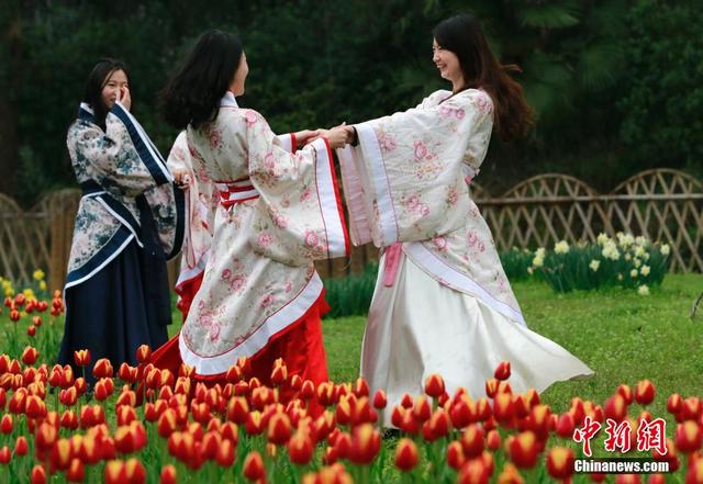 女大學生著古裝扮靚武漢鬱金香花展