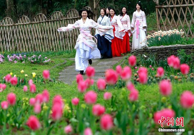 女大學生著古裝扮靚武漢鬱金香花展