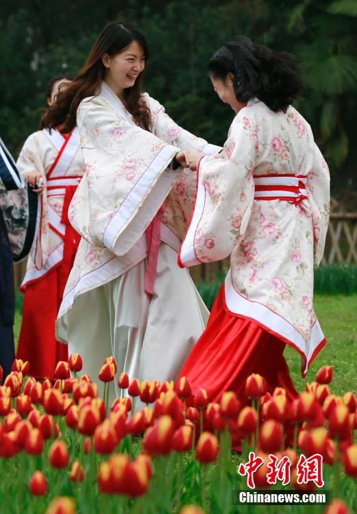 女大學生著古裝扮靚武漢鬱金香花展