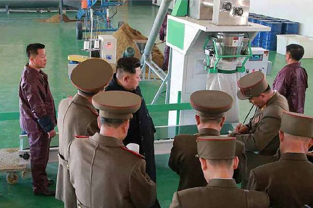 金正恩視察朝鮮飼料廠指導工作