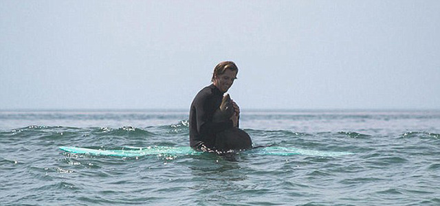 呆萌小海獅爬上沖浪板 享受“海上飛”樂趣