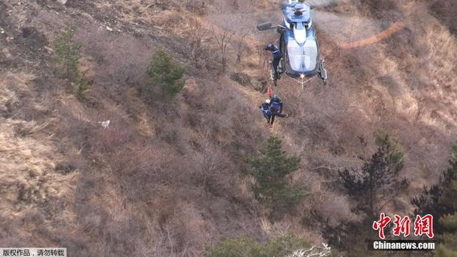 德翼航空客機墜毀首批飛機殘骸照片曝光