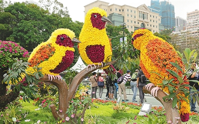 香港花展“跳舞蘭”吸睛 花藝作品驚艷