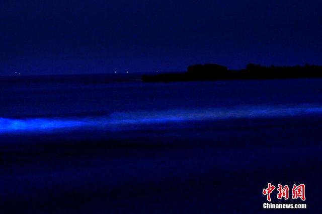 青島再現迷人夜光藻藍色帶