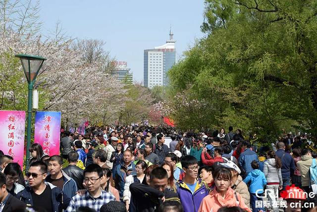 北京玉淵潭公園櫻花進入最佳觀賞期 遊人如潮