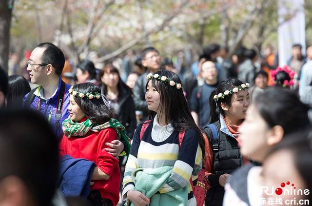 北京玉淵潭公園櫻花進入最佳觀賞期 遊人如潮