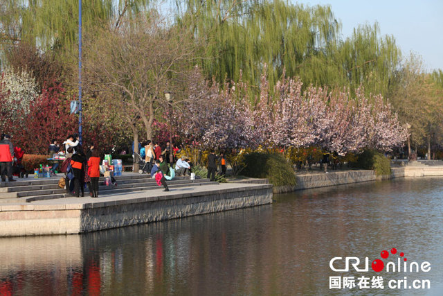 元大都城垣遺址公園海棠花開迎客