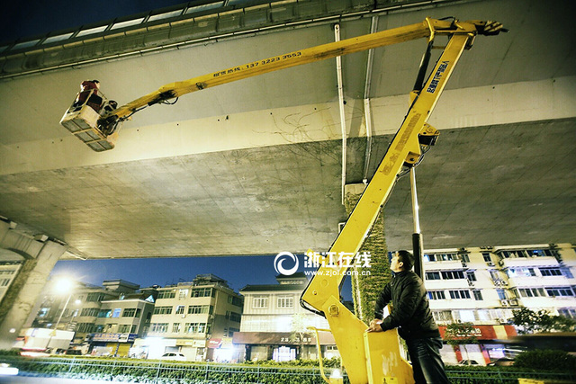 杭州愛貓人深夜高空救貓 租升降車圍觀人捏汗