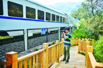 北京居庸關：明年可上木棧道近觀“花海列車”