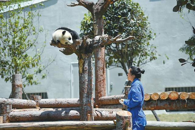 香港援建“數字臥龍”建成全國首個信息化管理保護區