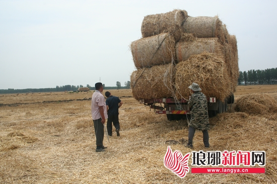 【生態山東-文字列表】【走遍山東-臨沂】臨沂強化農業源污染防治 秸稈利用率近九成