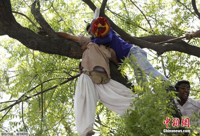 印度一農民在示威活動中上吊自殺